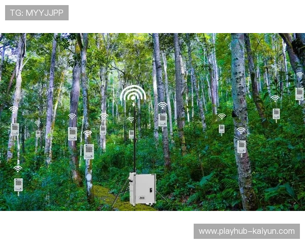 传感器网络覆盖赛事场馆，实时收集环境与设备数据